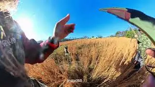 Quail hunting at Highpoint hunting Preserve 1-1-2026