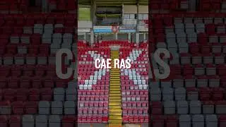 Welcome to the STōK Cae Ras
