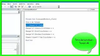 VBA Excel สีพื้น font ขอบเซล tabSheet ด้วย colorIndex