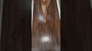 Ebony Foot Goddess At Work Again