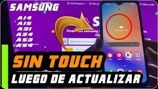 Por qu&eacute; tu Samsung pierde el touch despu&eacute;s de una actualizaci&oacute;n? (Pantallas Gen&eacute;ricas)