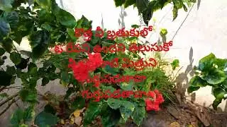 #e chikati cherani#vedam song#Best telugu song#