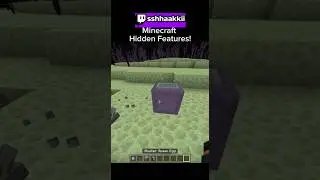 Hidden Features in Minecraft!🤫#minecraft #gaming #secret #fypシ゚viral #fyp #viral #fypage #easteregg