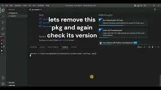 Python pip show and pip uninstall