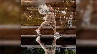 PJ Camargo - Caminho Estreito (&Aacute;lbum Alma Pura)