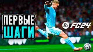 FC 24 Squad Battles, драфты, паки, фифа 24
