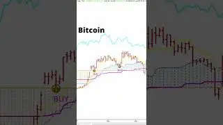 Bitcoin 2024 Forecast #marketcycles #shorts