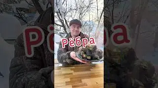 Томлёные рёбра в красном вине.