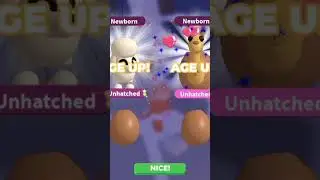Day 2 of hatchin cracked eggs until I get a neon legendary! #foryou #adoptme