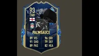 palm mps montage 2