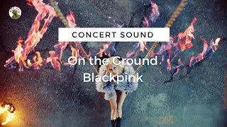 (CONCERT SOUND) ROS&Eacute; - 'On The Ground'