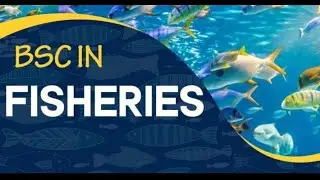 Bsc fishery science full details in hindi| bfsc|fishery science collage|sallary|syllabus|agriculture