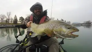 🔴 LIVE - Holiday Sales - Okuma Giveaway | Lake Michigan Fishing Report 11/22/25