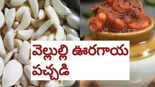 వెల్లుల్లి పచ్చడి | Garlic pickle Recipe | Strong bones || Healthy Heart | Relief Stress | Skin care
