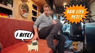 I Got a Pet for Van Life..