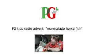 PG tips radio advert 
