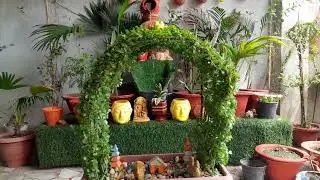 Jade plant ki cutting se bnayen / shivling,doll,peacock 25+diy topiary /#maacreativekitchengarden 