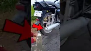 viral indian bike new technology #new  #comedy #bikelover #chai #viralshort