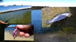 Lure fishing for trout at this weird location