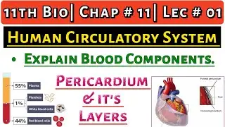 Human Circulatory System| 11th Bio| Ch # 11| Lec # 01| Pericardium & it's Structure| Explain Blood?