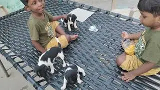 செல்லக்குட்டி சாப்பிடு #devdheeran enjoyment #native place 