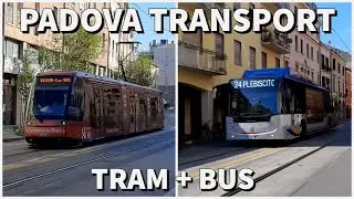 Padova Transport Tram + Bus