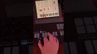 kq dixie and korg nanokey studio sukiyaki