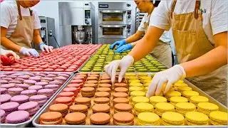 Amazing! Mass Production of 1,000 Korean Macarons Daily | Food Processing