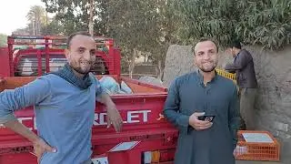 تسويق الأرنب وكلنا أيد واحدة
