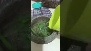 water info grass flower green? #grass #asmr #water