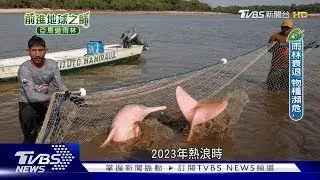 直擊巴西雨林!樹矮林冠疏、壤土裸露　「地球之肺」退化ing｜前進地球之肺：亞馬遜雨林特別報導｜TVBS新聞
