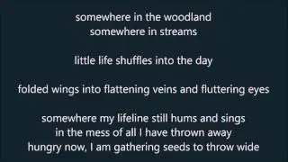 Vienna Teng - Goodnight New York - Lyrics