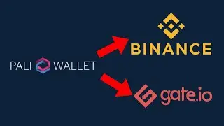 Como RETIRAR SYSCOIN de la PALIWALLET👜 A BINANCE o otros exchanges