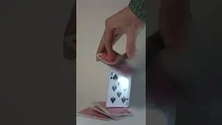Flying magic cards #shorts #reversed