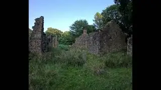 Pre mine forest walk