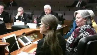 Peace activists at MN Criminal Intelligence - Antiwar FBI Raids surveillance 2/3