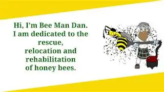 Bee Man Dan - We Take Care of Bees & Your Home Too!