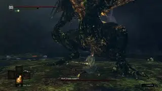 Dark Souls 1 - Black Dragon Kalameet NG+ (No Damage) Lifehunt Scythe