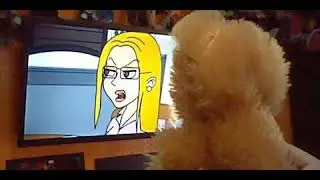 Bob and jerry show season 27 episode 7 Childish Catherine's lunch drama