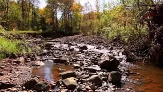 10minutes2relax - Quiet Creek Creative Commons Attribution License