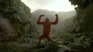 Gorilla dance to Honey Singh song live
