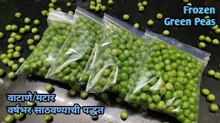 मटार वर्षभर कसे साठवावे | how to make Frozen green peas| मटार वर्षभर साठवण्याची पद्धत|मटर स्टोर करें