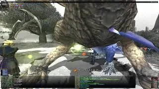 Final Fantasy XI - Kirin (Level 140) with Only One Damage Dealer