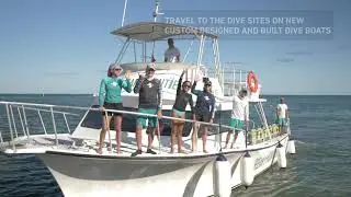 Come and Dive with us at Ocean Frontiers in the Cayman Islands