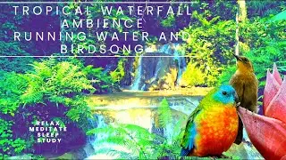 ASMR Relaxing Tropical Soundscape: Flowing Water and Singing Birds