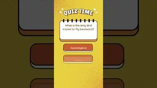 Guess the Animal! Unleash Your Wildlife Knowledge🦎 | Quick Nature Quiz 01