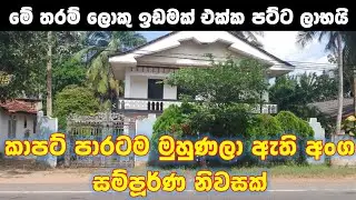 කාපට් පාර අයිනේ මේ තරම් අඩුවට වෙන කොහේවත් නෑ | House for sale in Sri Lanka 
