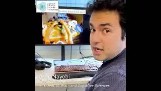 Can robotics help us understand the brain?