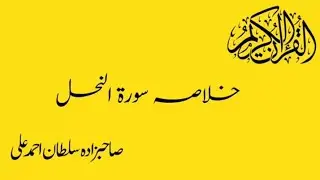 Summary of surah al nuhal ||sultanahmad ali sab ||sultan bahoo ||al Quran
