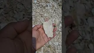 Shale stone mountain|multani mitti|edible clay#shorts#ytshorts